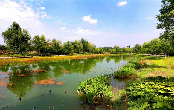 小枧生态湿地公园