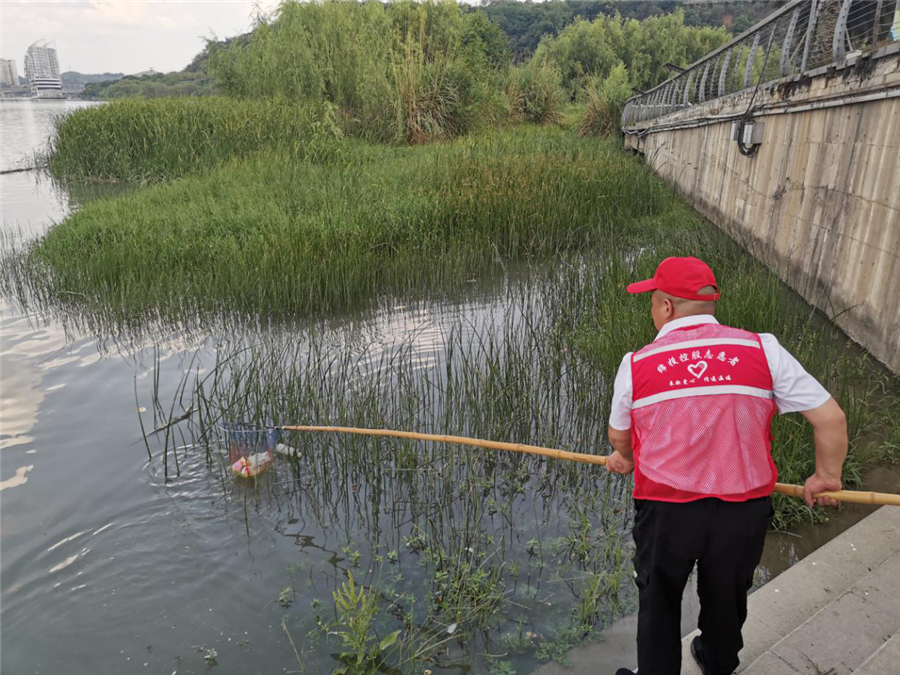 越王楼志愿者清理三江半岛河道垃圾